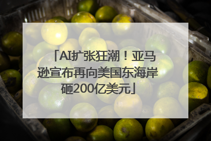 AI扩张狂潮！亚马逊宣布再向美国东海岸砸200亿美元